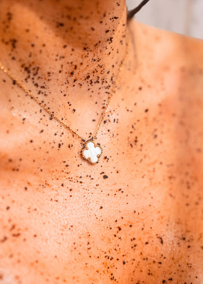 Anti-Ageing Coffee Scrub